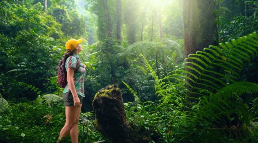 Booking Eco Tours: What You Need to Know?